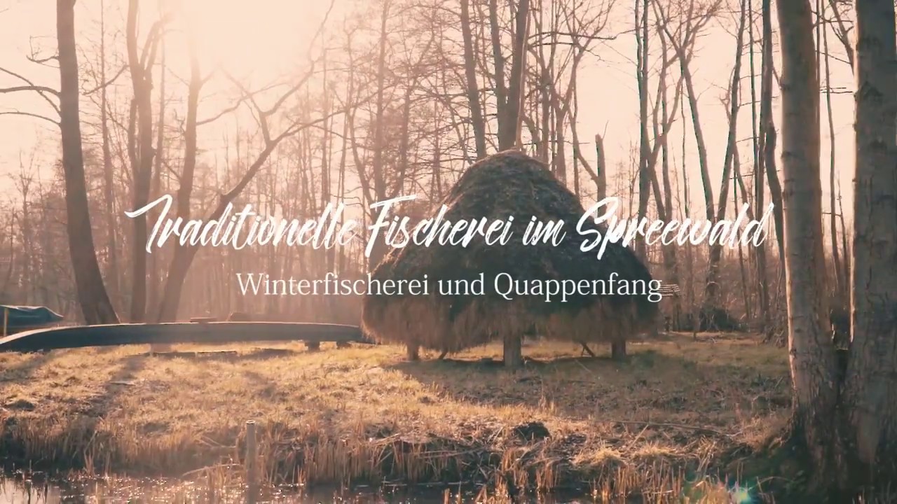 Traditionelle Fischerei im Spreewald - Winterfischerei und Quappenfang (2018)