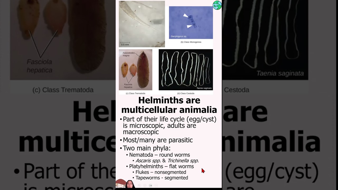 Eukaryotic Microbes - Helminths and Protists Mobile Friendly