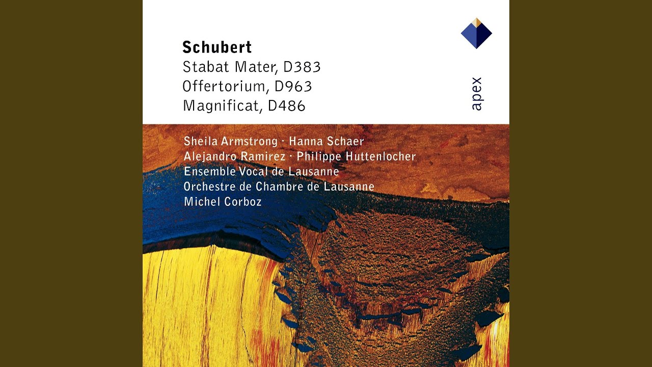 Stabat Mater in F Minor, D. 383: No. 1, Chor. 