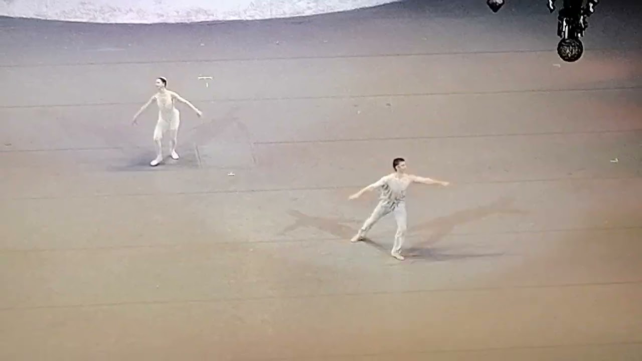 2 янв 2026 Гала 
