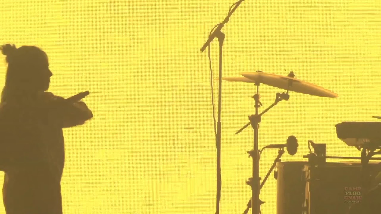 “bellyache” - Billie Eilish LIVE at Camp Flog Gnaw Carnival in Los Angeles, CA