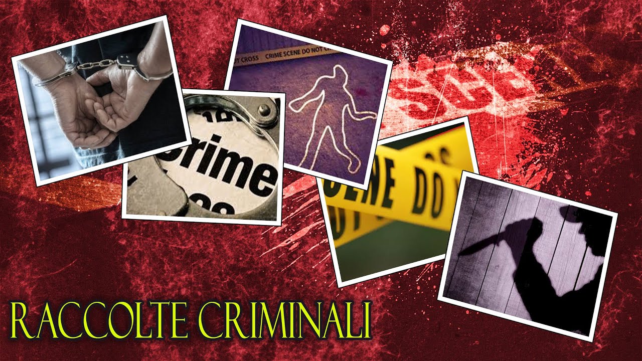 Raccolte criminali - 6 casi