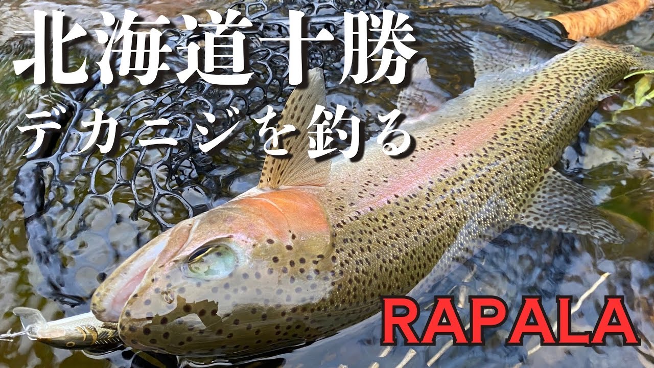 【北海道十勝】【ニジマス】【ラパラ】あの神ルアーでネイティブトラウトを狙う！