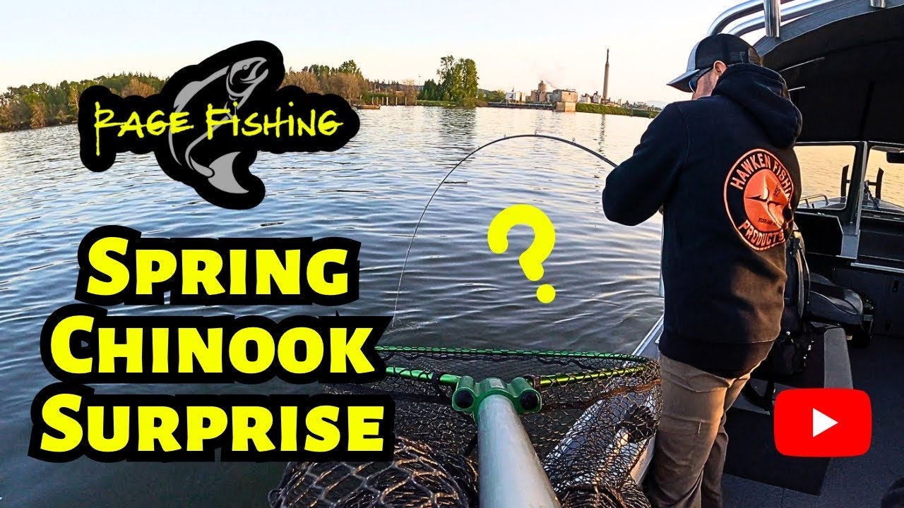 SPRING CHINOOK SURPRISE! Fishing for Spring Chinook on the Willamette and we hook a.... STURGEON?!