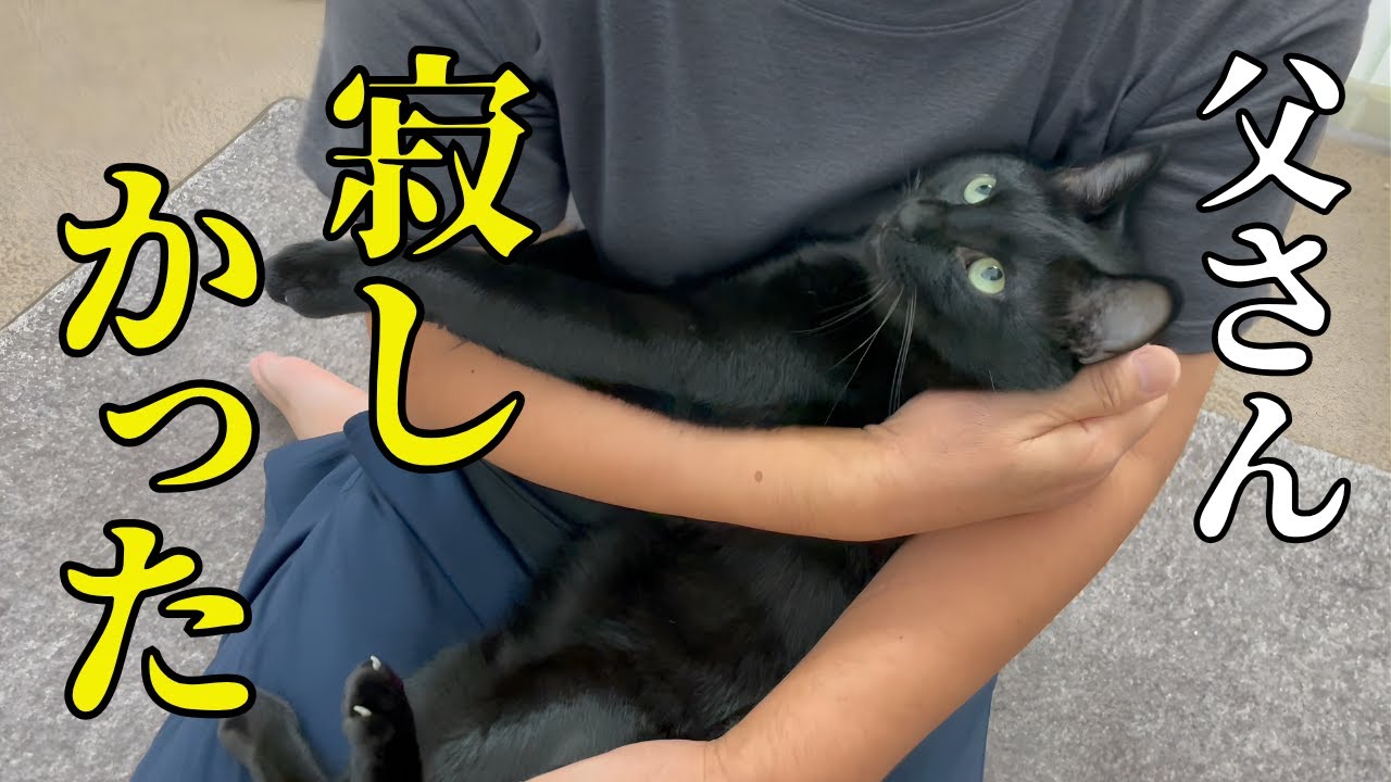 甘えなくなったファザコン元迷い猫が変貌！父がキャンプから帰ったら離れません！