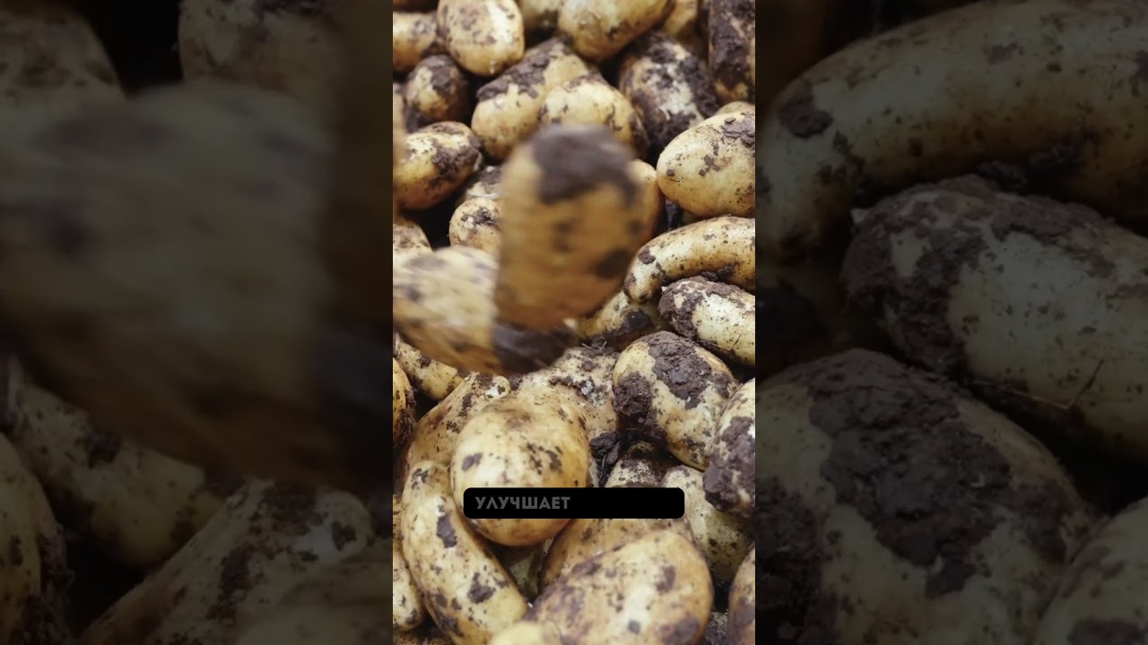 Функции бора