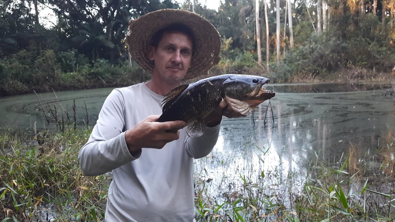 Poça da água preto as traíras bocavam até a rolha, pescaria!!!