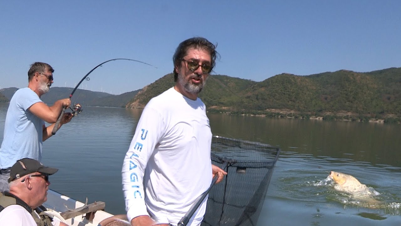 Pecanje šarana na Dunavu - Vojin i Bojan Ćetković pecaju sa Boletom - Dubinsko pecanje šarana