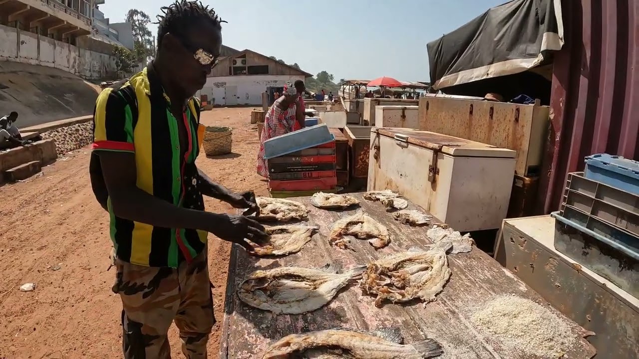 The Gambia Road Trip, November 2023