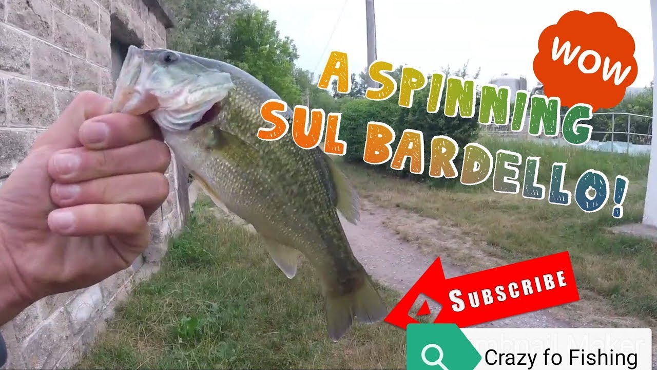 Una mattinata a SPINNING sul Bardello con Crazy for Fishing!