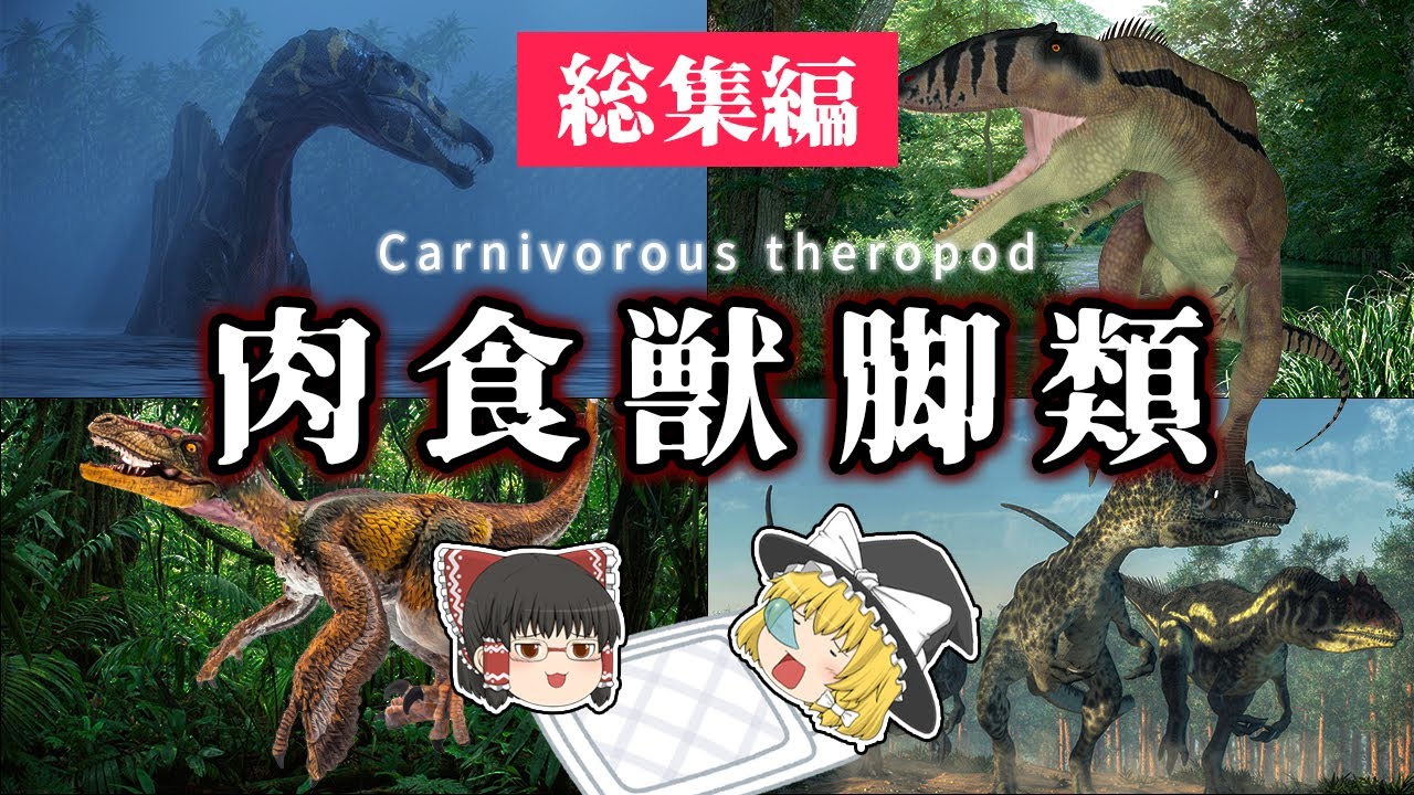 【睡眠用・ゆっくり解説】肉食獣脚類　総集編【広告最初のみ　途中広告なし】