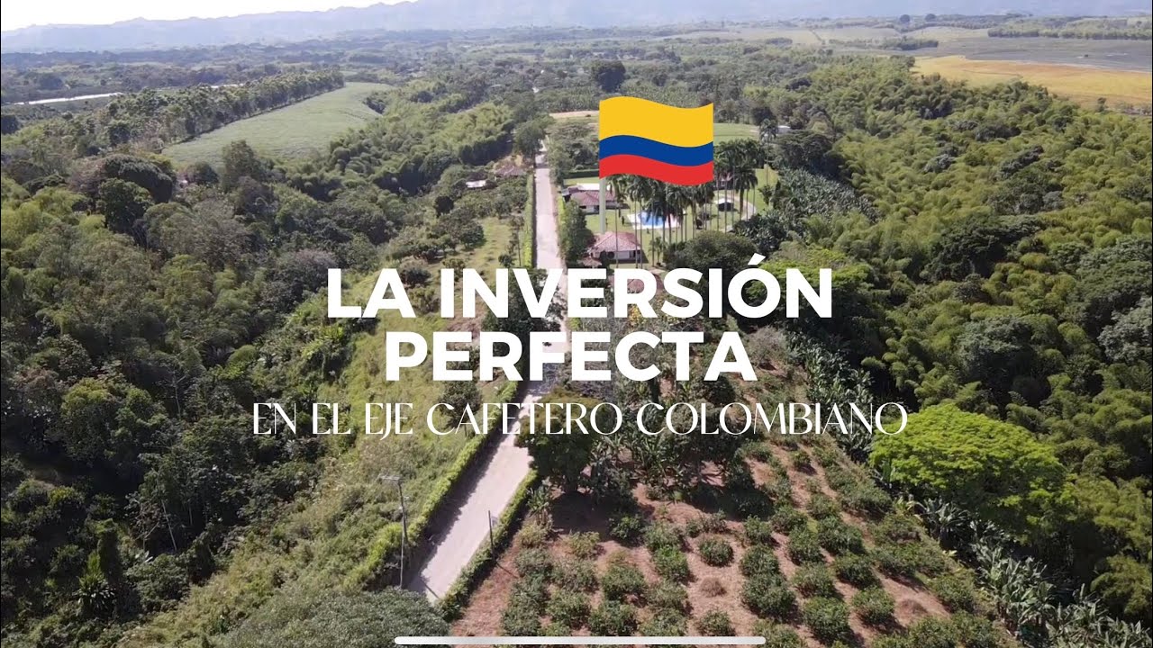 Hermosa Finca en Venta 📍Quindío Colombia 🇨🇴✨