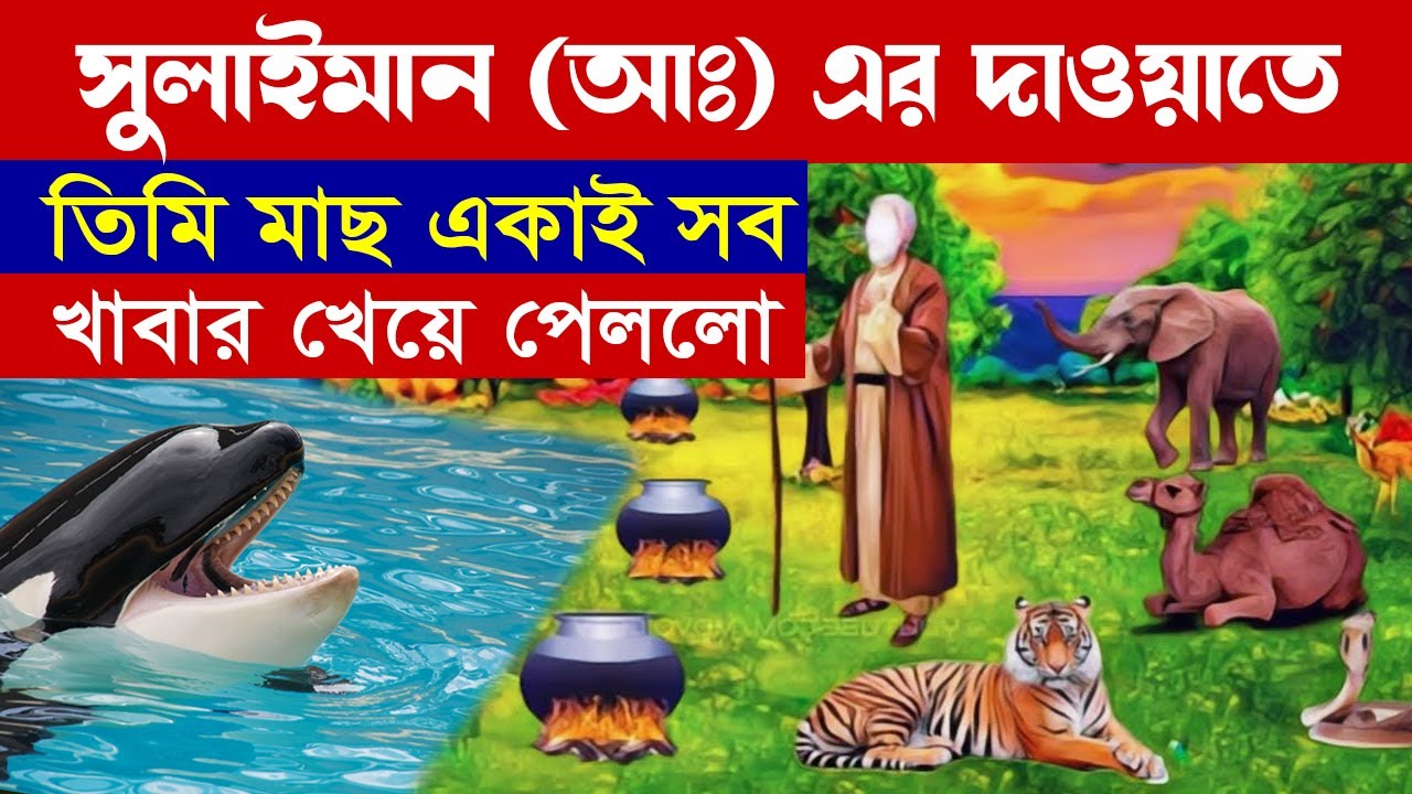 সুলাইমান (আঃ) এর দাওয়াত খেতে এসে জীন এবং মাছের বিষ্ময়কর ঘটনা | Hazrat Sulaiman AS Story