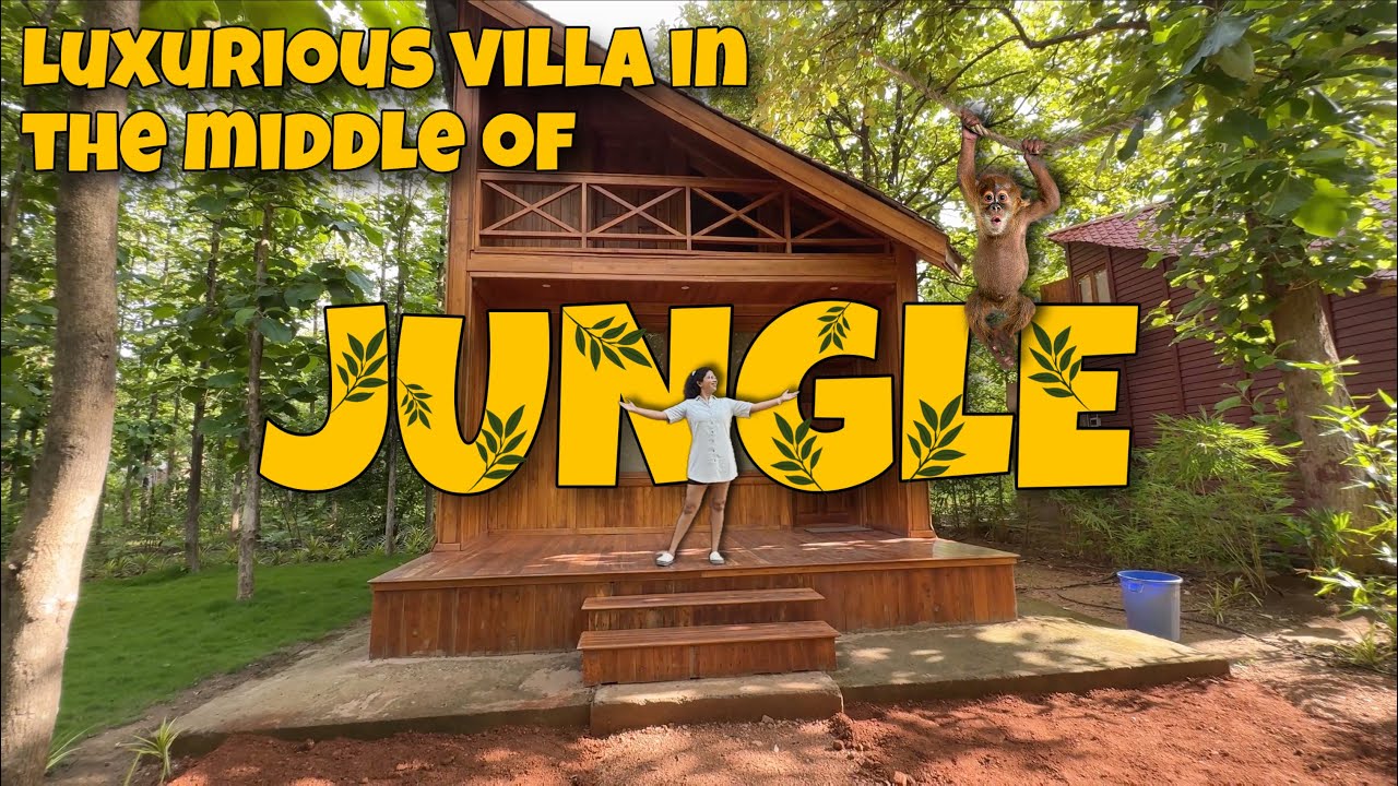 🌿Jungle Safari in Pench Tiger Reserve🐅| Surewani🌳