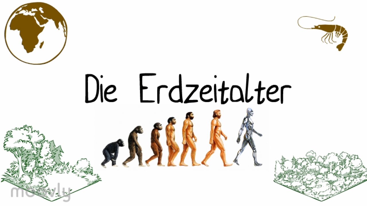 DIE ERDZEITALTER ERKL&Auml;RT! BIOLOGIE