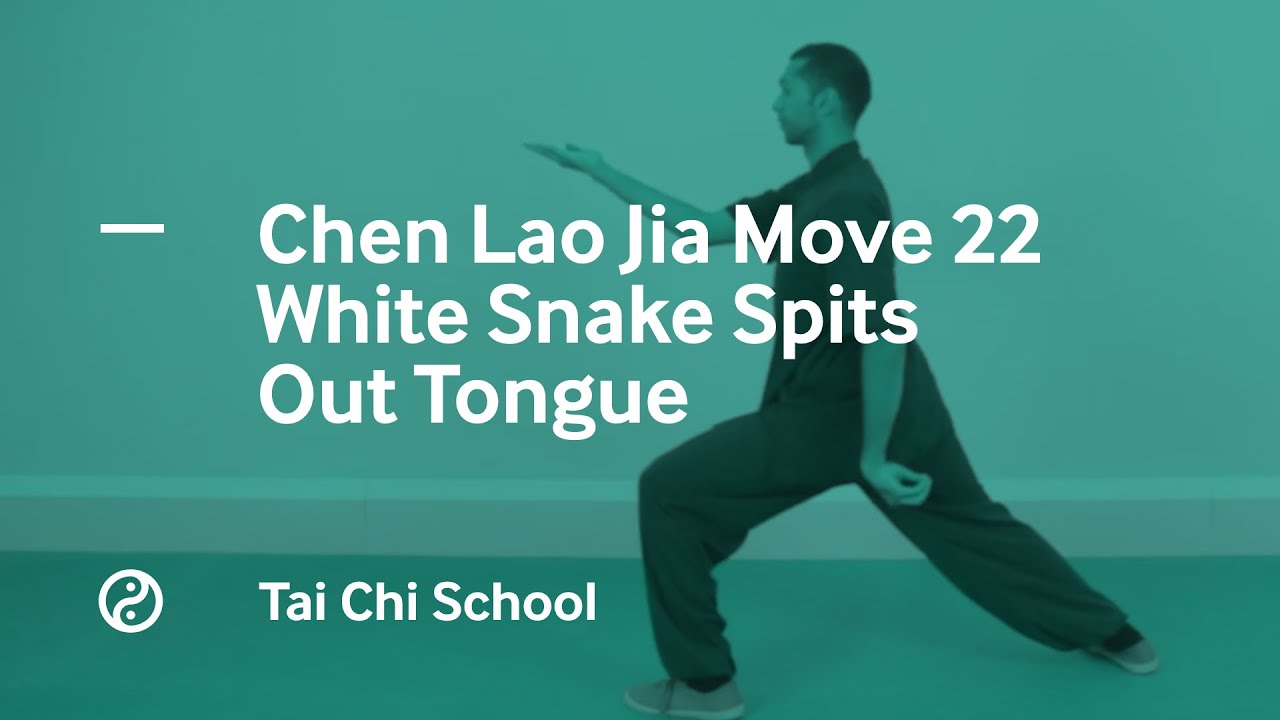 Chen Tai Chi Lao Jia. Move 22. White Snake Spits out Tongue