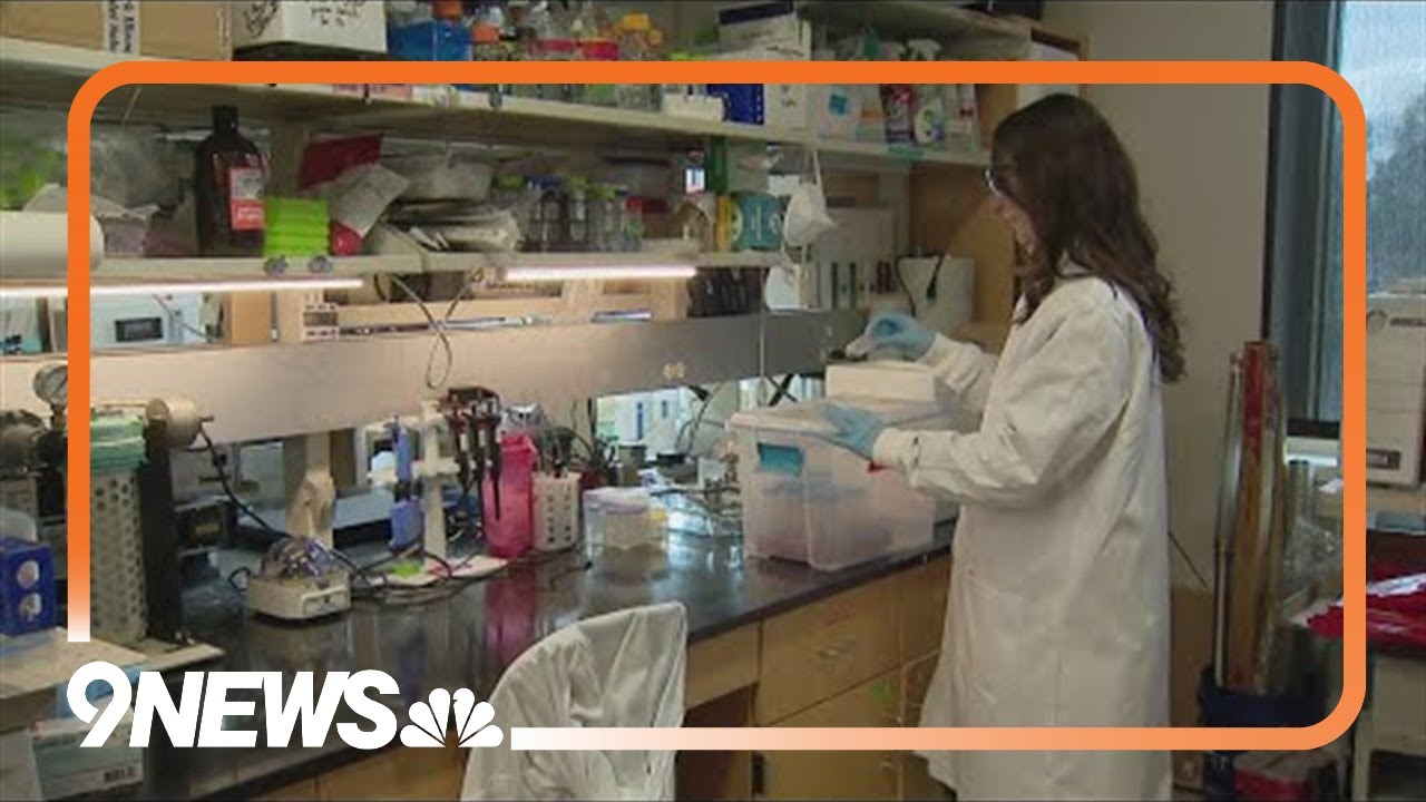 CU Boulder researcher warns of potential gap in cannabis screening