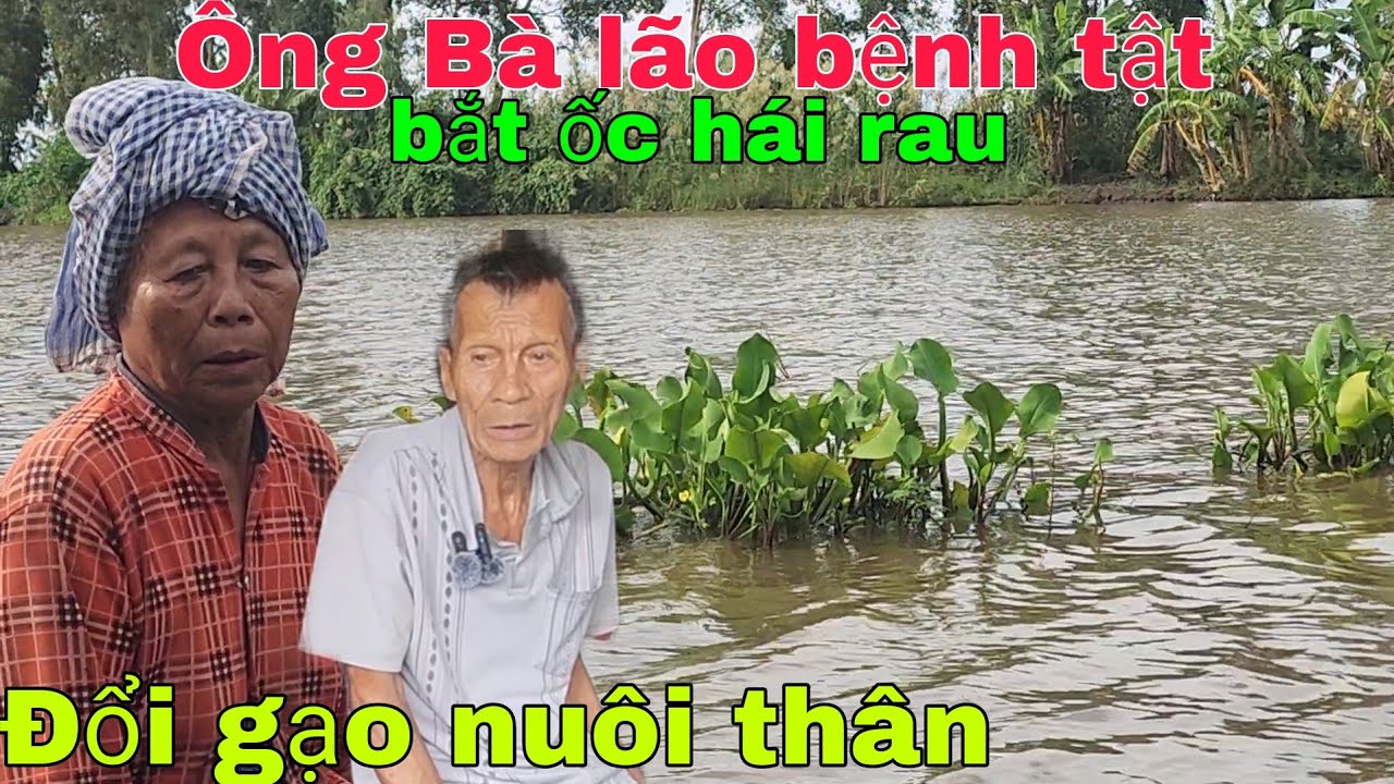 Ông Bà lão bệnh tật sống giữa đồng bắt ốc hái rau đổi gạo nuôi thân