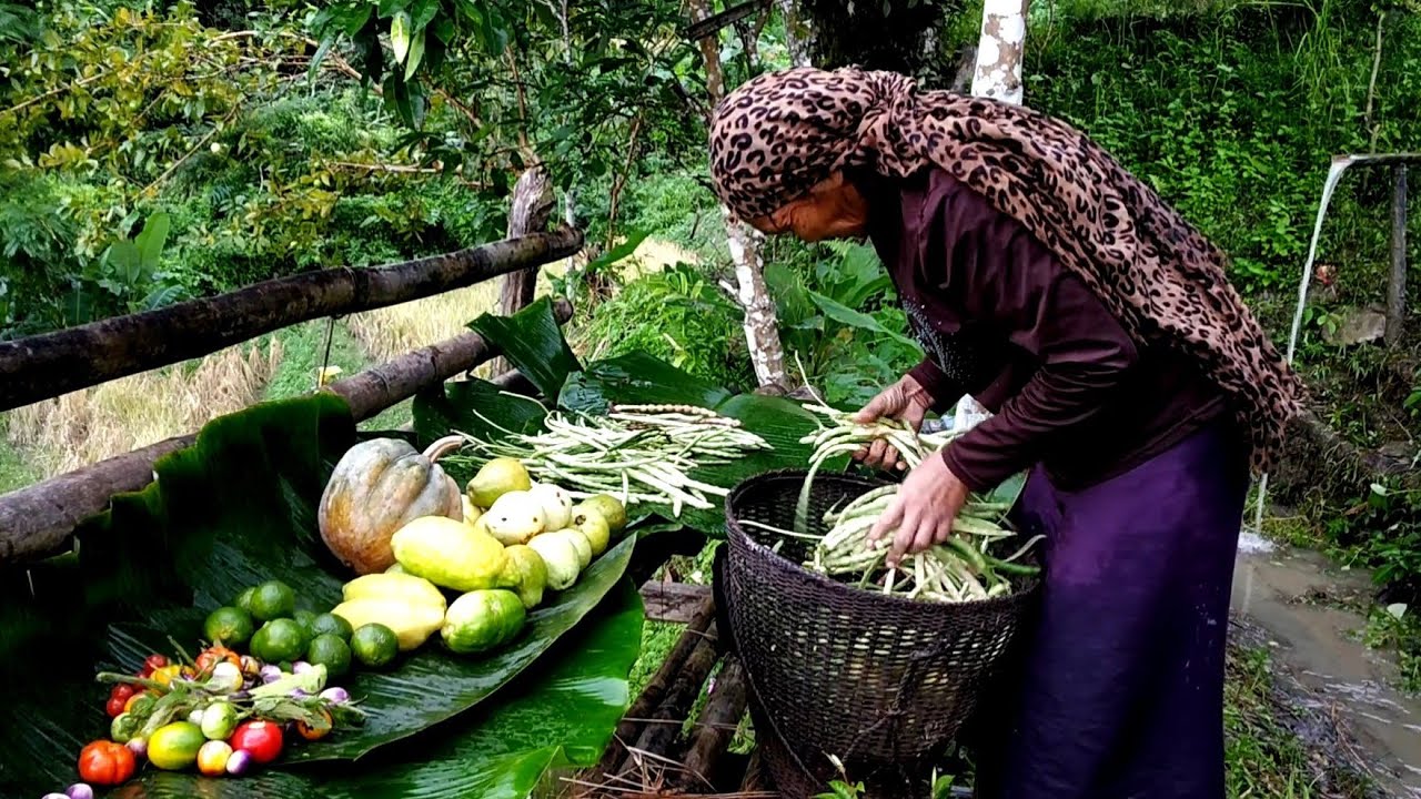 Village life in Nagaland, Naga women Harvesting organic fruits and vegetables
