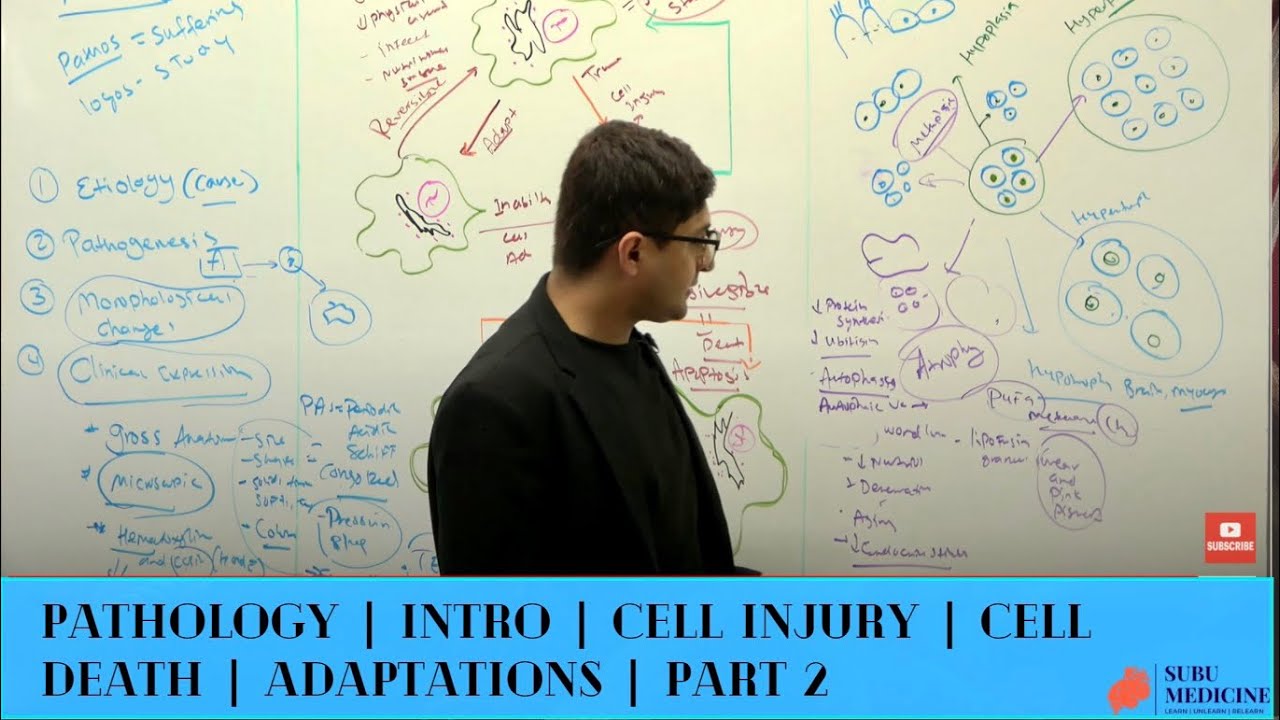 Pathology | Intro | Cell Injury | Cell Death | Adaptations | Part 2 | Subash Acharya