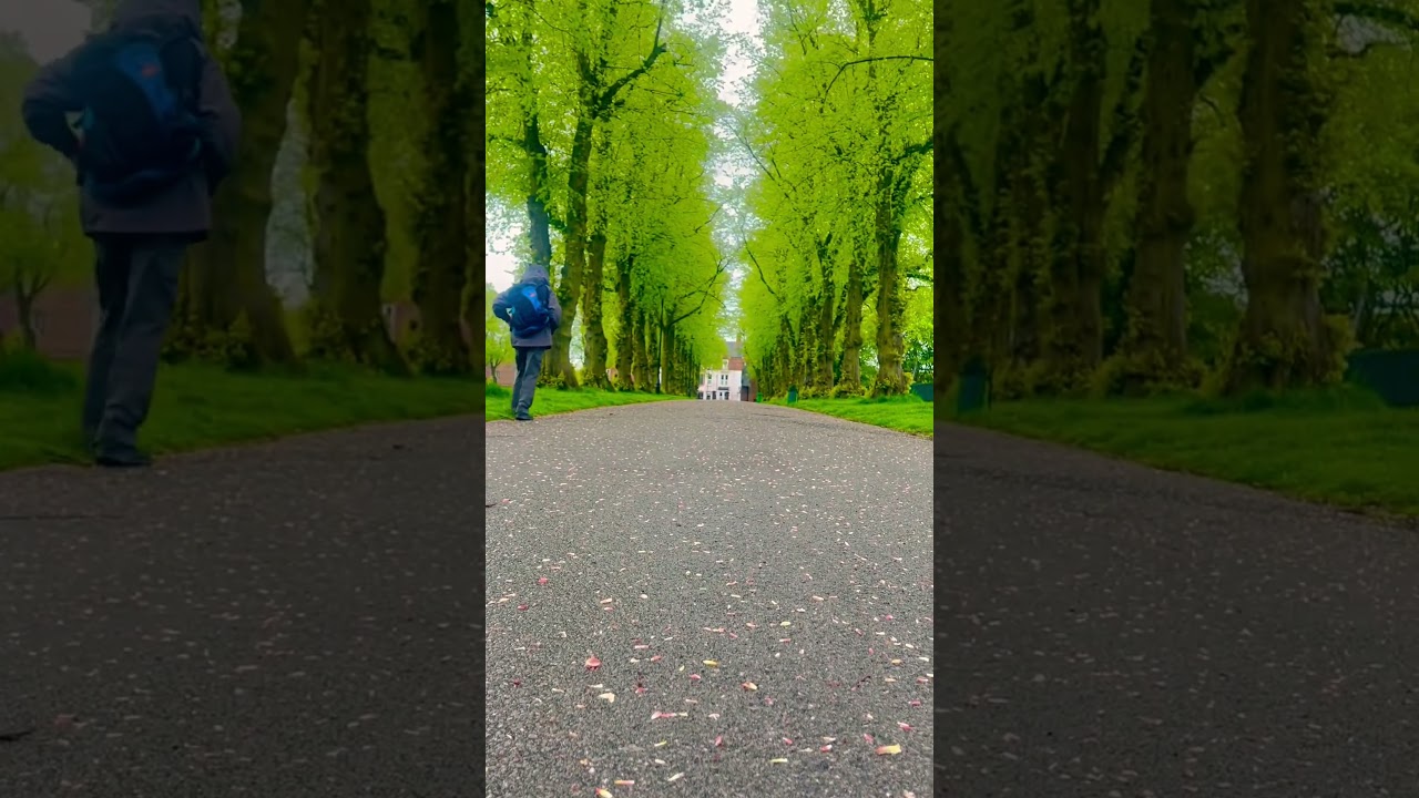Beautiful Road Uk