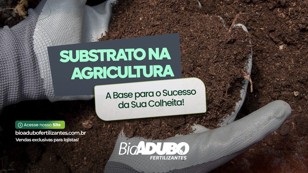Você já conhece o papel fundamental do substrato na sua produção agrícola?
