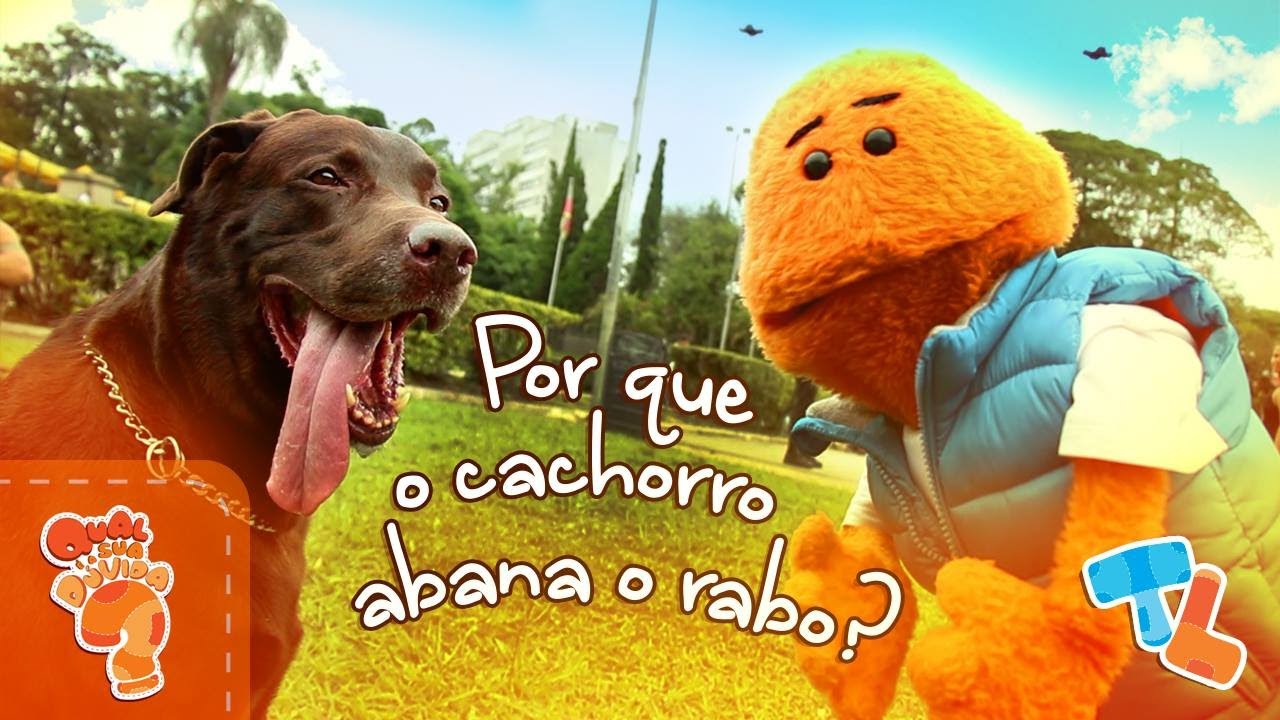 POR QUE O CACHORRO ABANA O RABO? #Ticolicos|EP29