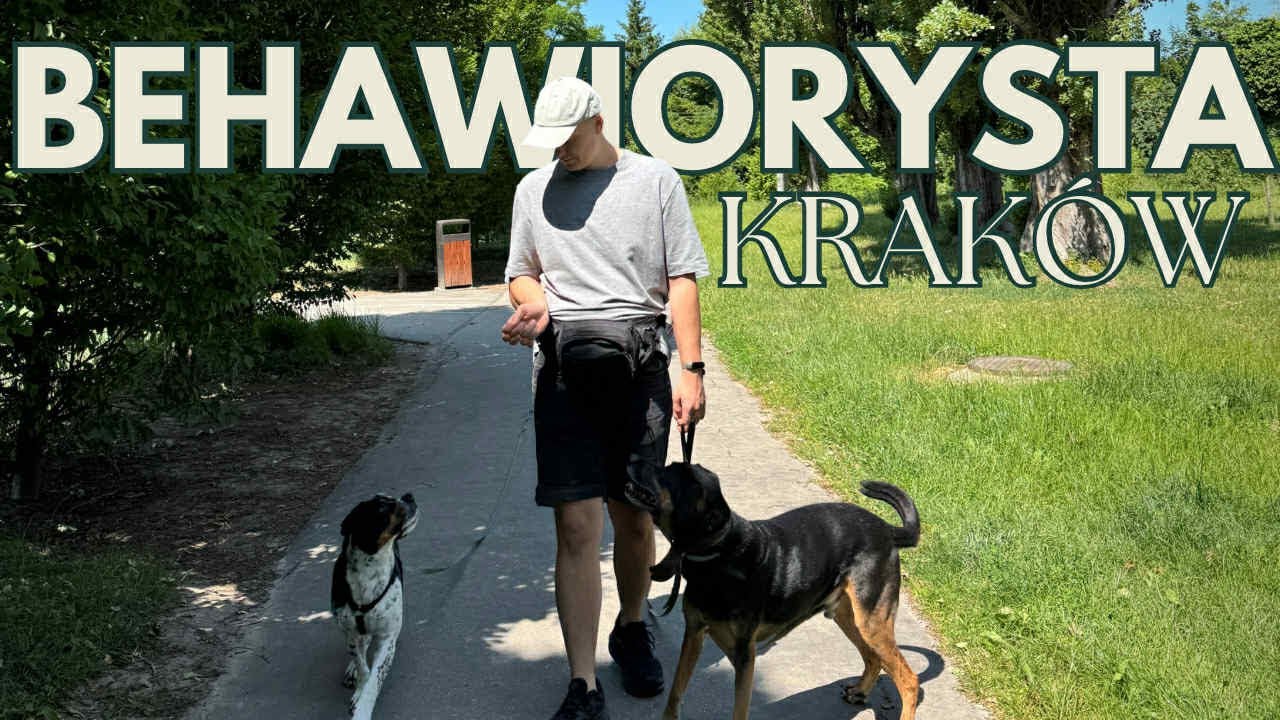 Behawiorysta Krak&oacute;w 🐾 Pomagam psom i ludziom w końcu się dogadać