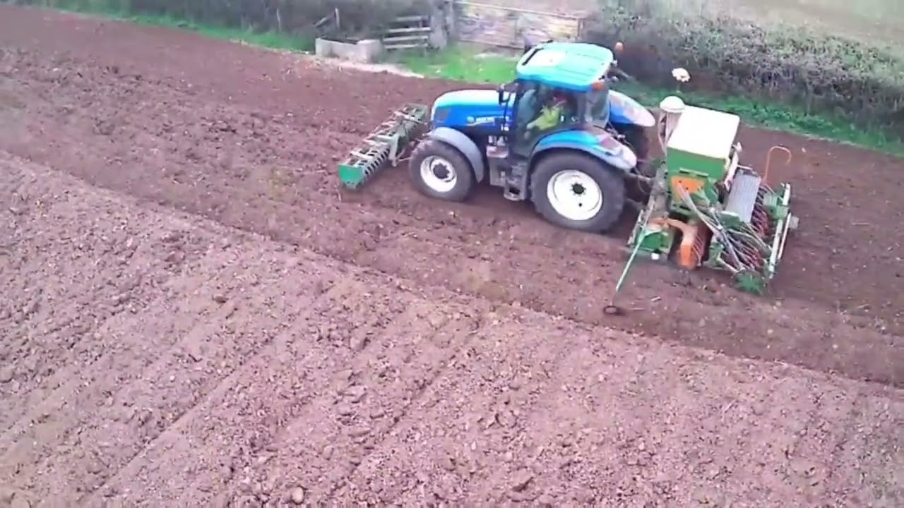 Drilling a Field of wheat With a Newholland T6.155 and Amazone combination drill