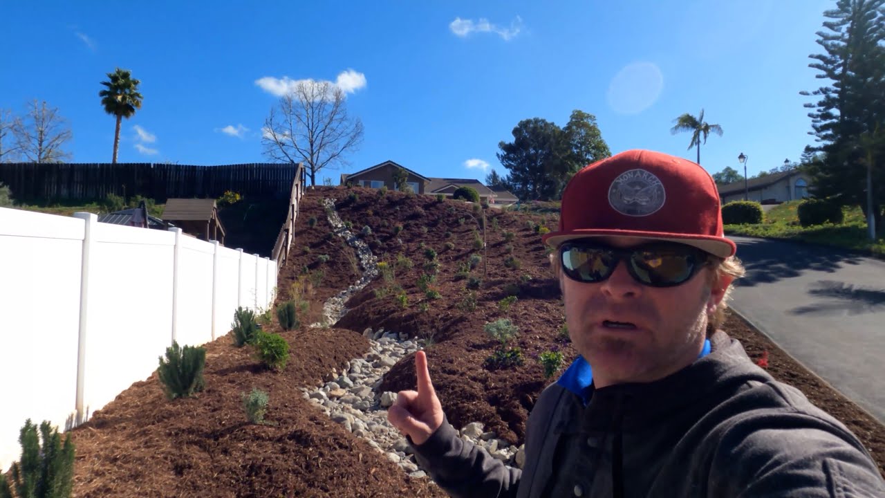 Cultivating Diversity: Turning a simple slope into a Flourishing Landscape in Fallbrook