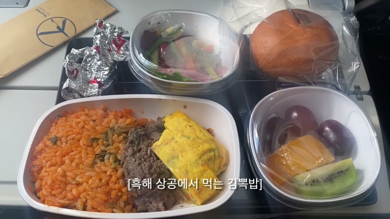 8살 유럽여행기 1 [인천에서 뮌헨가기] 