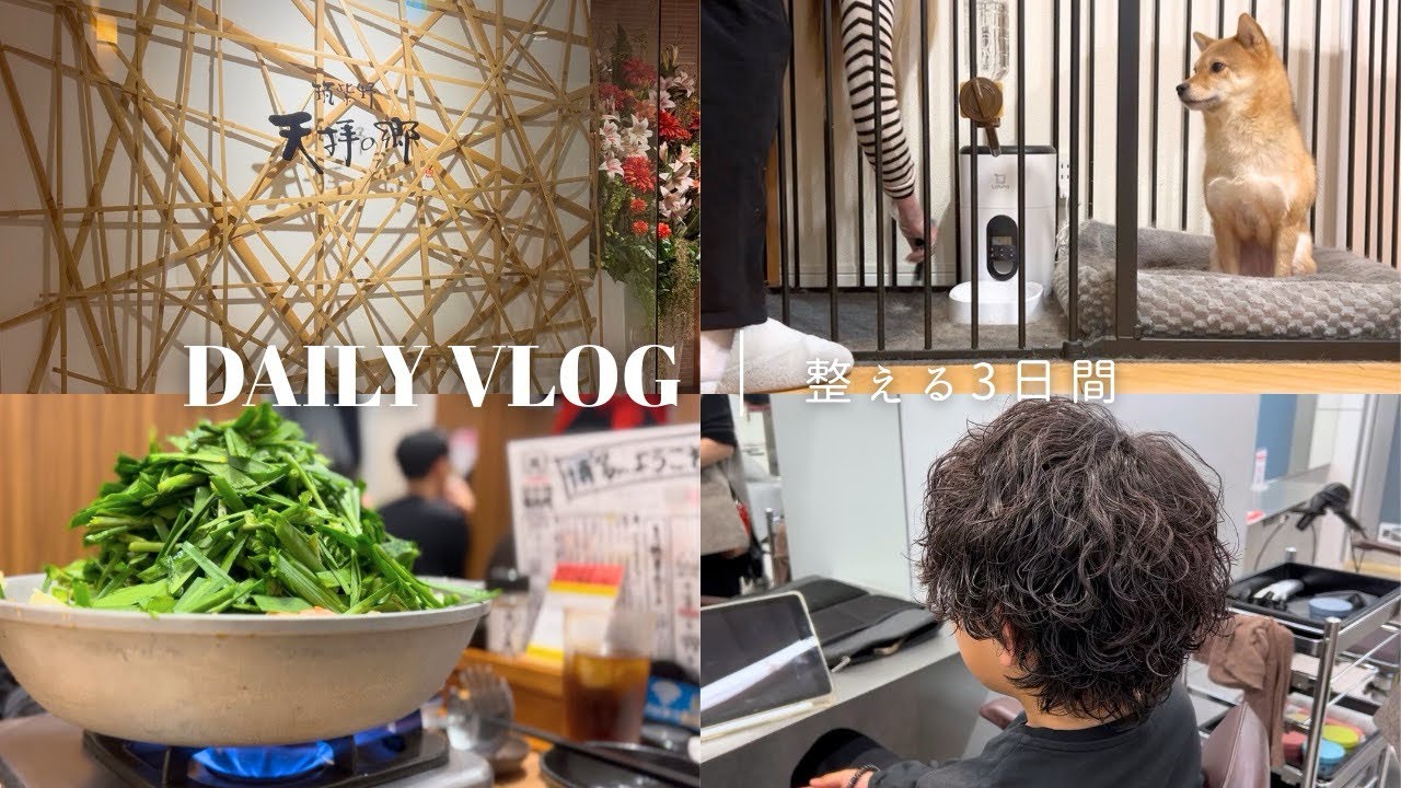 【DAILY VLOG】暮らしを整えた3日間｜断捨離と肌管理🪄🪞等身大の毎日🧘🏼🌿🍭