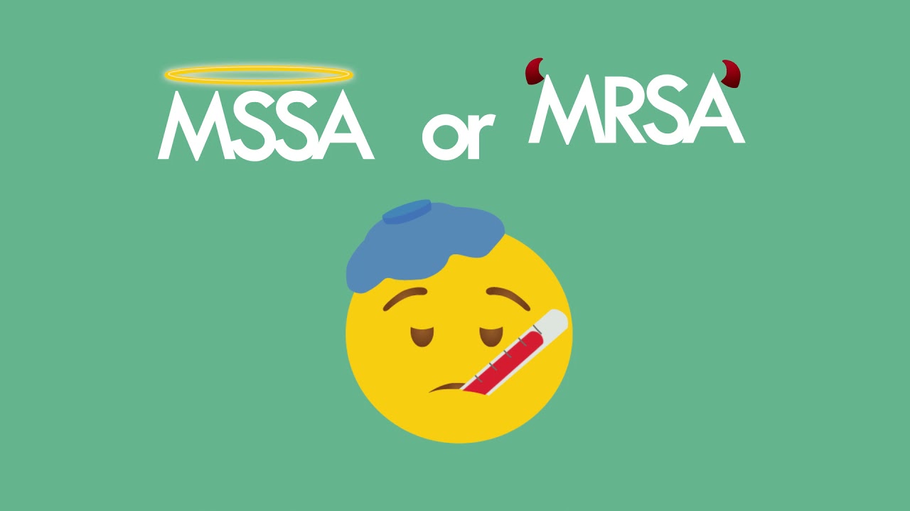 Staphylococci -  MSSA vs. MRSA