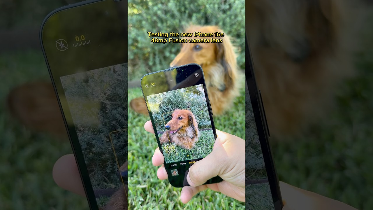 iPhone 16e оснащен новой 48-мегапиксельной камерой с комбинированным объективом, которая делает п...