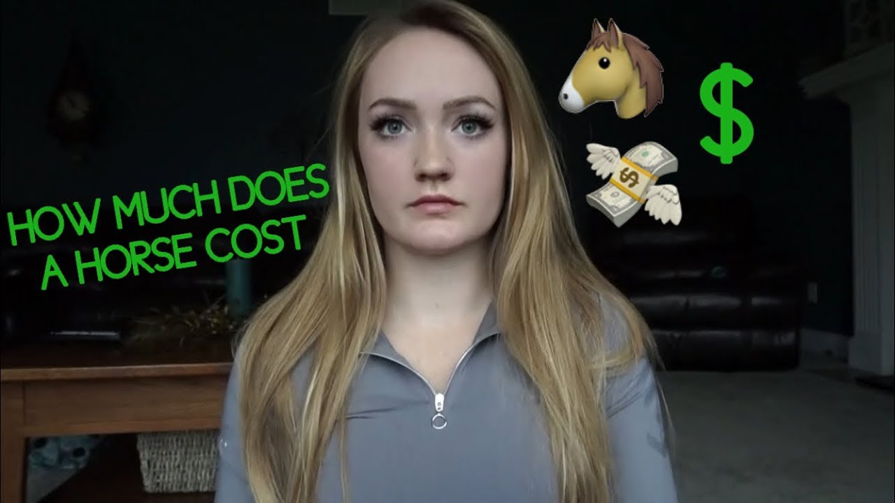 Сколько стоит владение лошадью?!