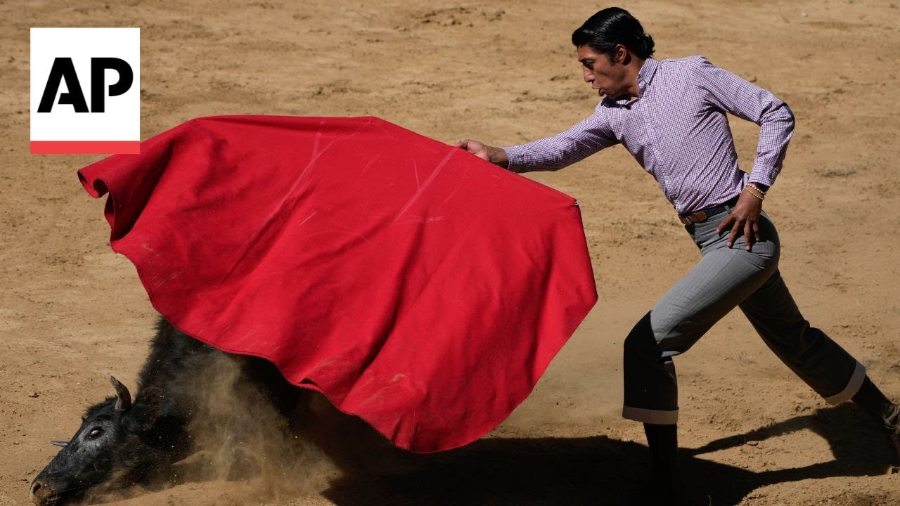 Mexico City bans violent bullfighting, sparking both fury and celebration
