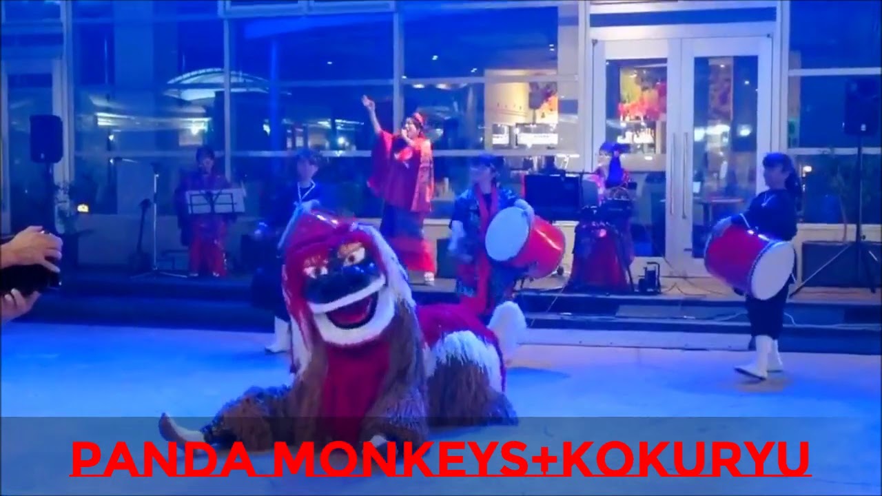 豊年音頭　HOUNEN ONDO/パンダ・モンキーズ+琉球舞団黒琉/ PANDA MONKEYS+KOKURYU