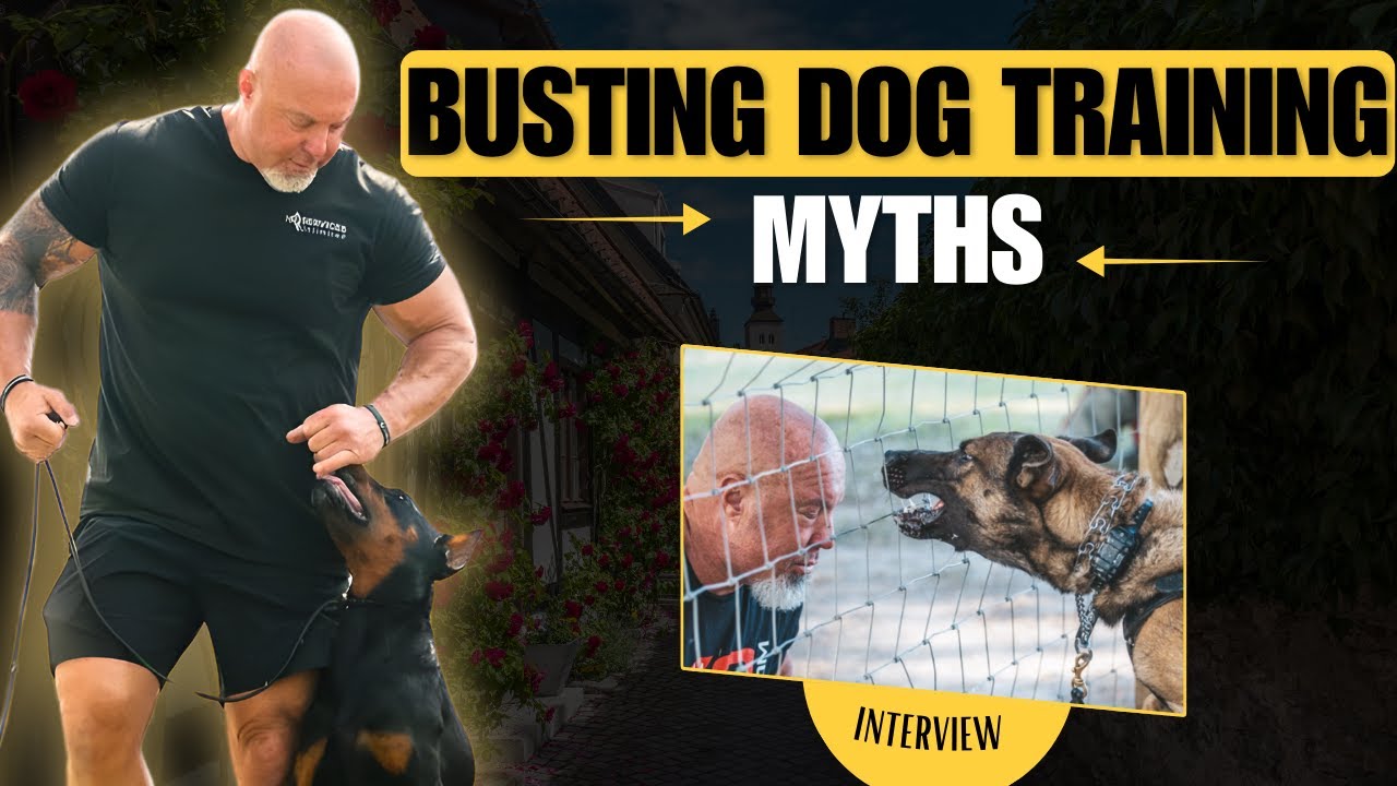 The Truth About Pressure in Dog Training (No One Wants to Admit This)
