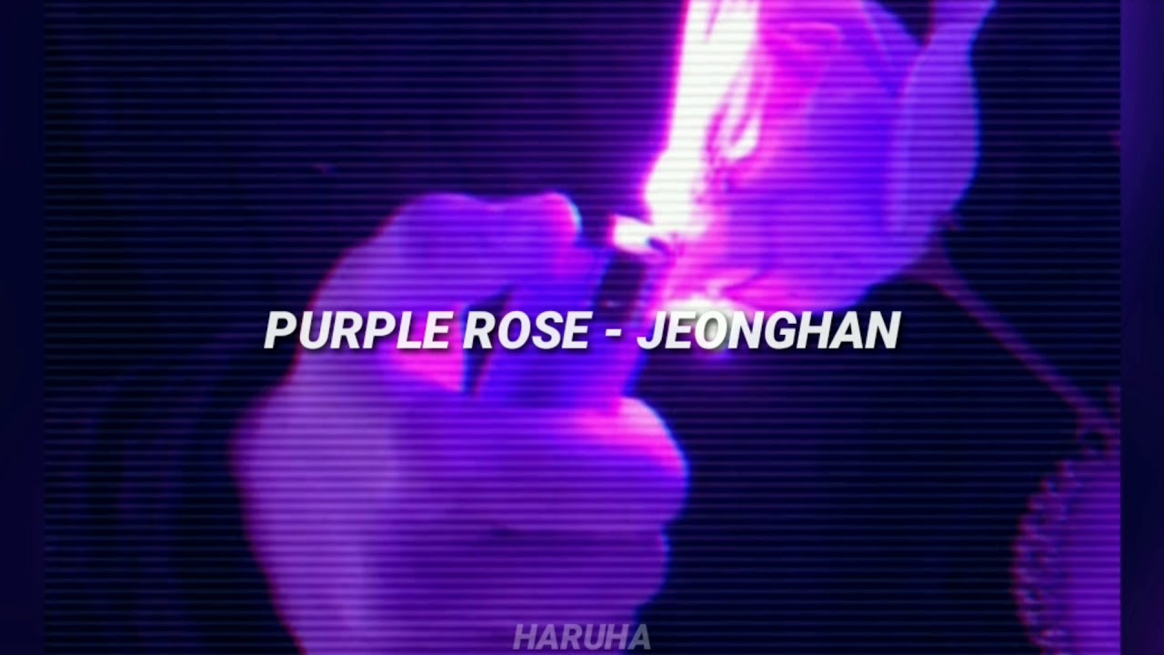 Purple Rose - Jeonghan/ Sub- español/ IDEAL CUT SOLO