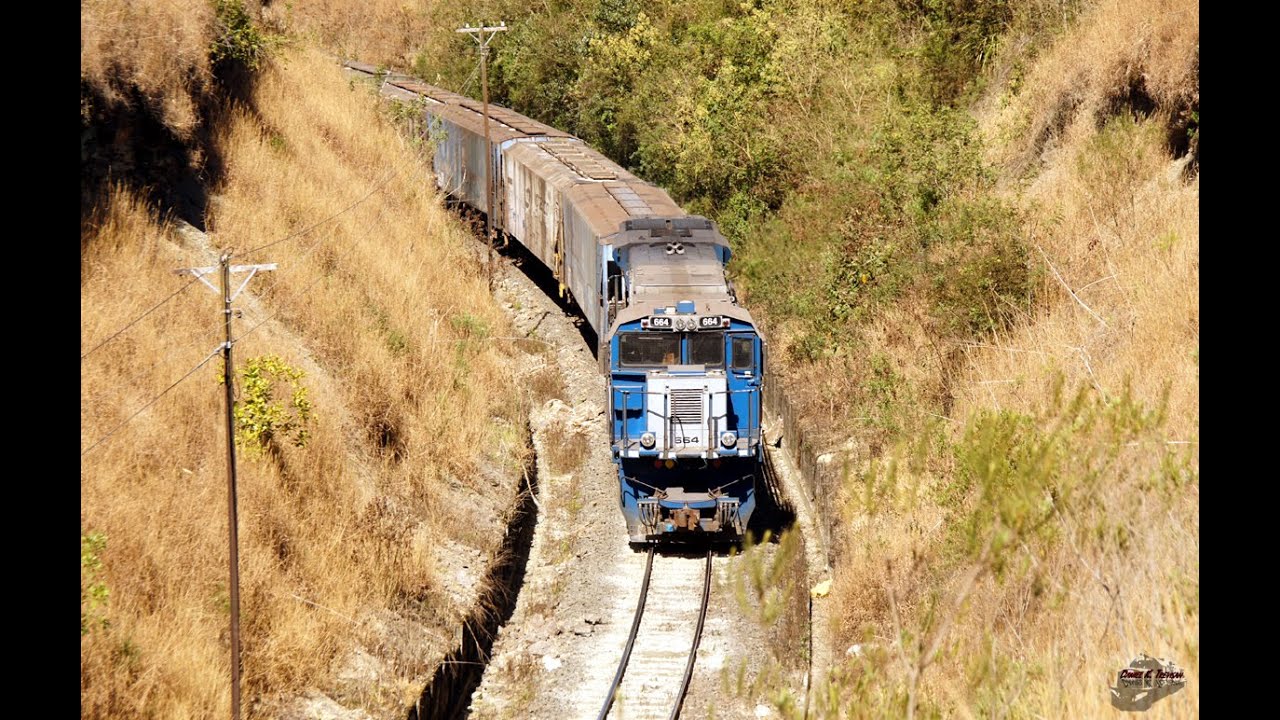 TRENS NO PARAN&Aacute; - ORTIGUEIRA, RESERVA E PONTA GROSSA
