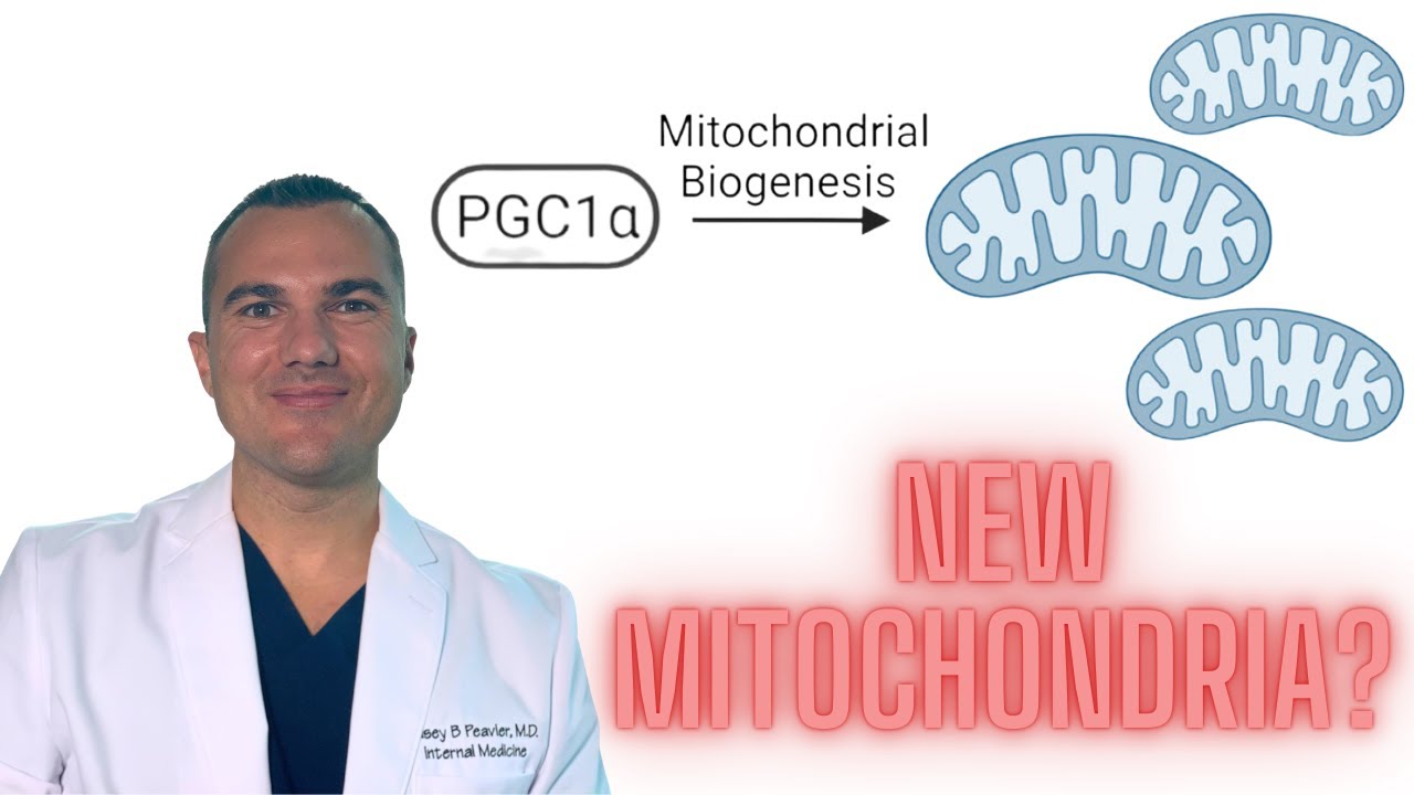 Supercharge Your Health With NEW Mitochondria