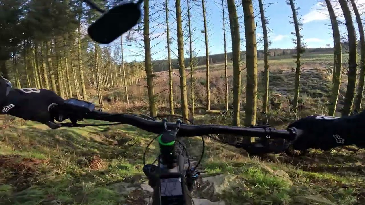 A cold Llandegla morning with Gadi on the trails Jan2nd 2025