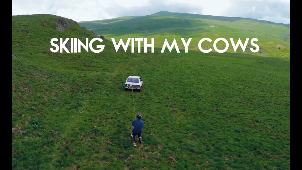SKI ON GRASS WITH CAR! - Skiing with my cows | RadCow