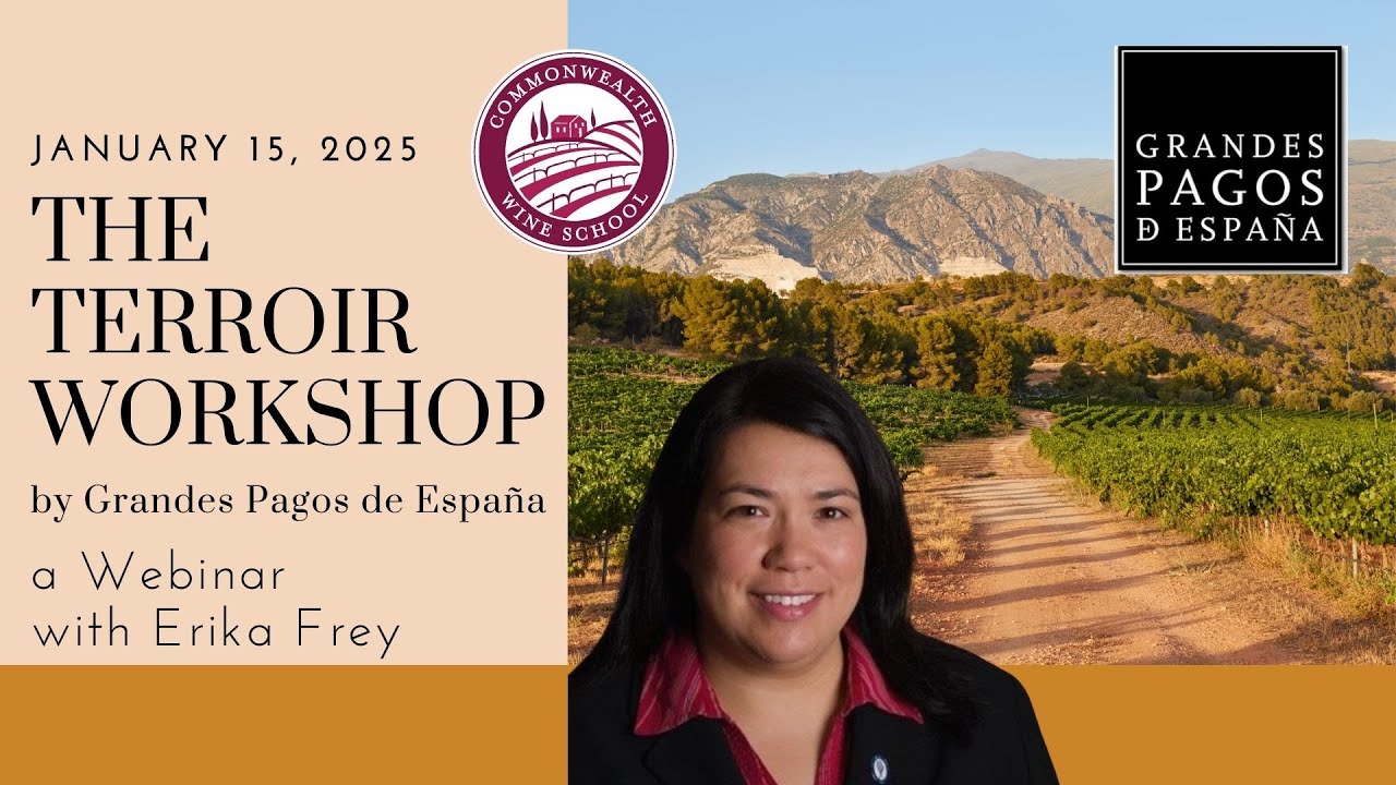 Wine of Spain - The Grandes Pagos Course and Wine Tour