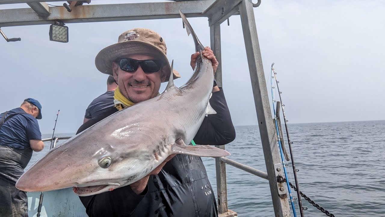 TOPE ON - Boat fishing on Julie Anne charters Amlwch, Anglesey