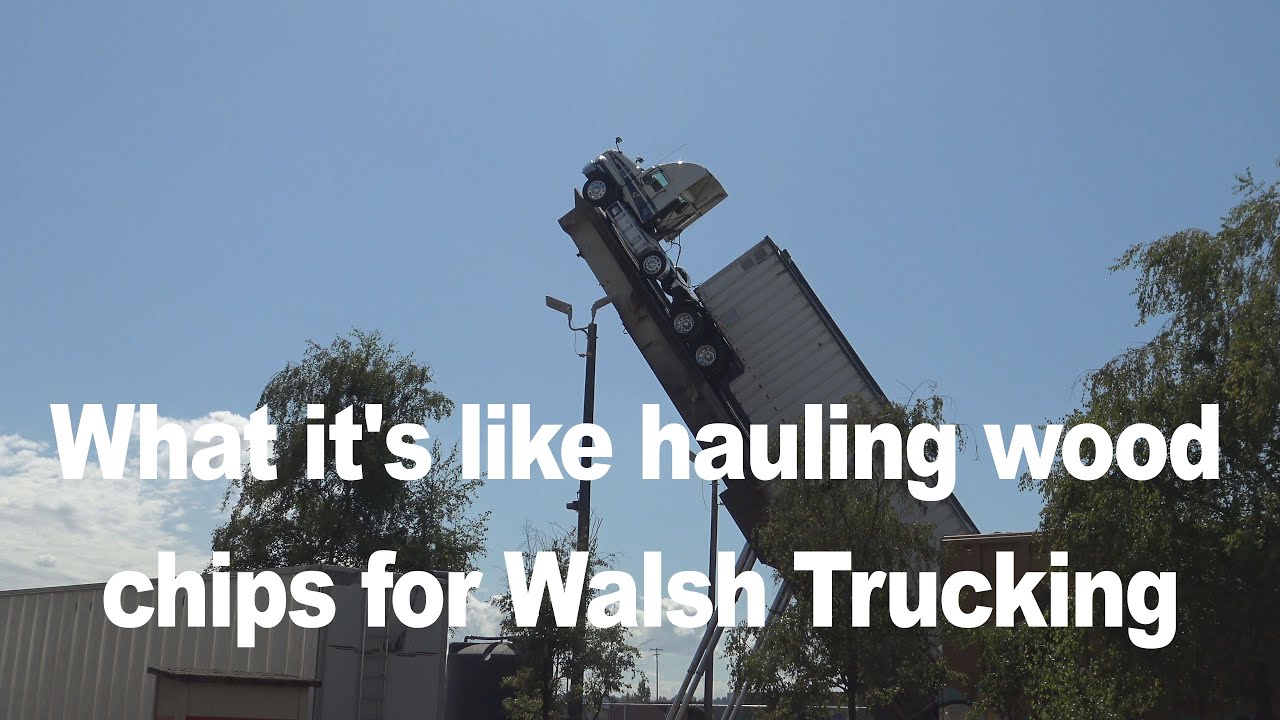 Walsh Trucking wood chip drivers are local and home daily