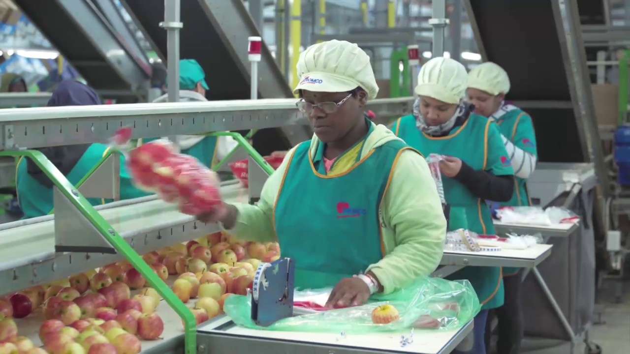 Hortgro Corporate Video – Deciduous Fruit Industry Organisation