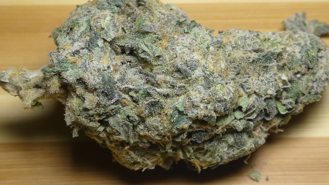 Secret Cookies X Kush Mints fr Bud Empire