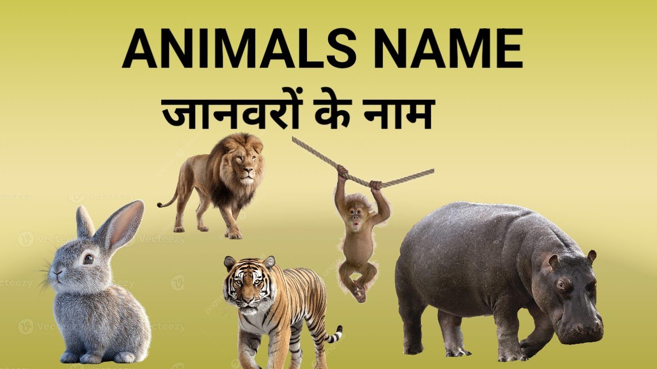 Animals Name for Kids 🐶🐱 | जानवरों के नाम | Kids Learning Video