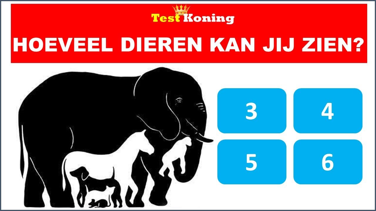 KAN JIJ DEZE 5 RAADSELS WEL OPLOSSEN?